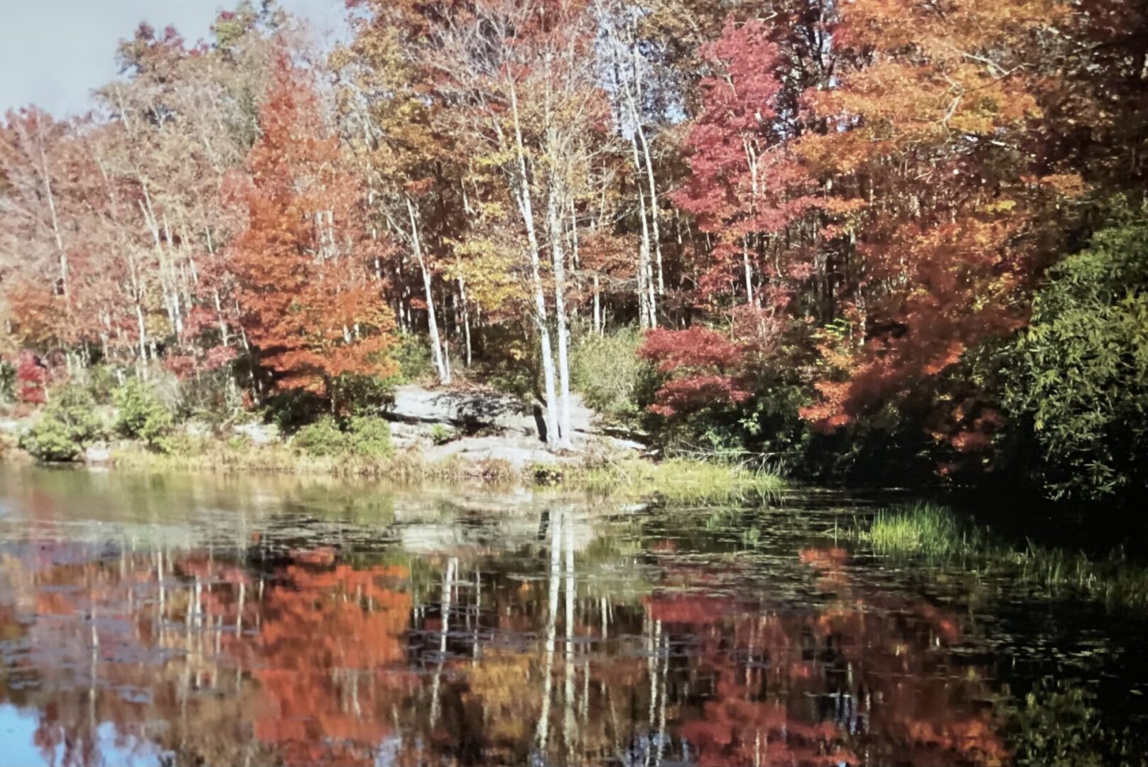 A lake surrounded by trees with fall colors.