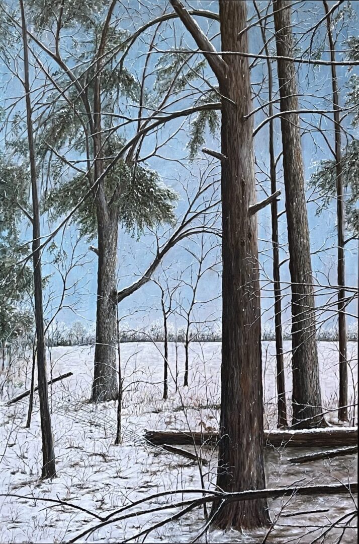 A painting of a snow covered wooded area.