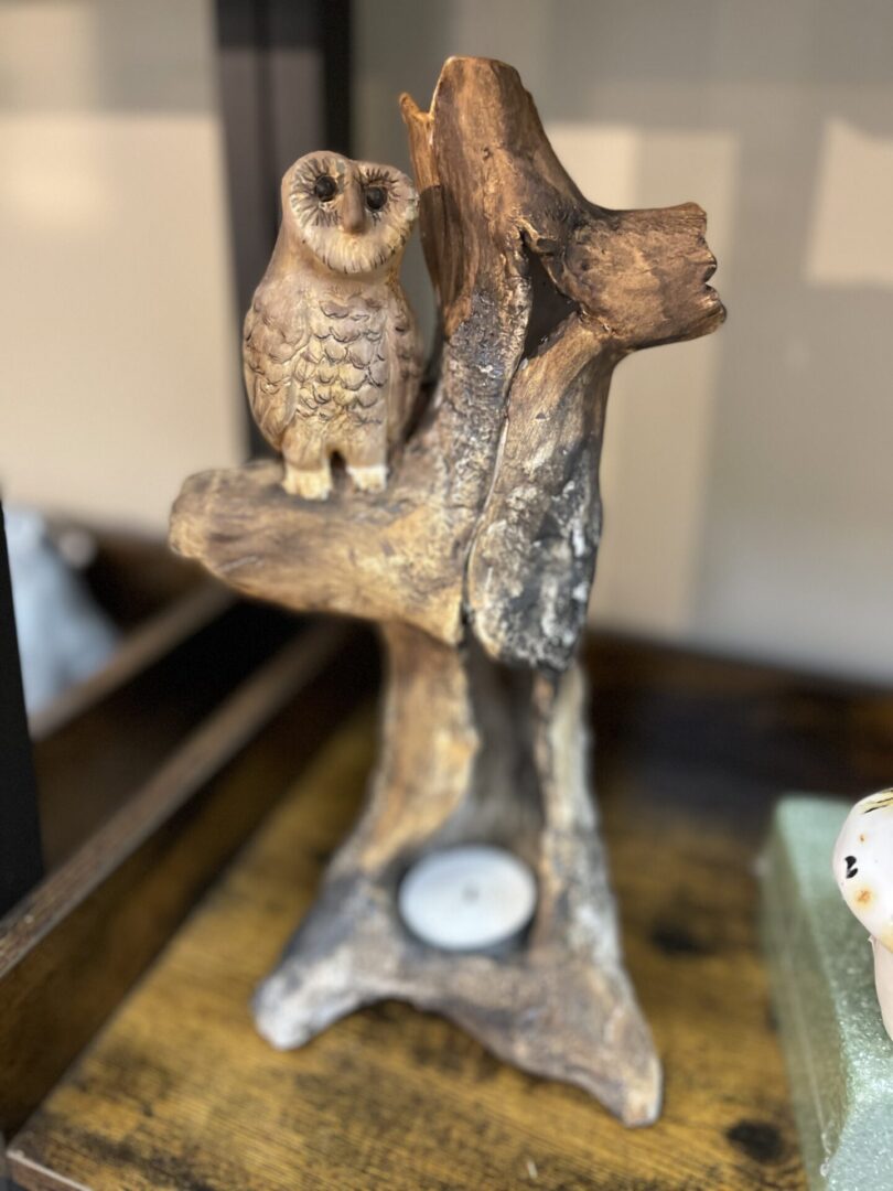 An owl sitting on a branch with a candle.